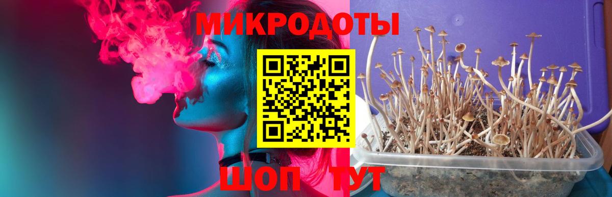 Дятьково  Псилоцибиновые грибы GOLDEN TEACHER  Вход с VPN 
