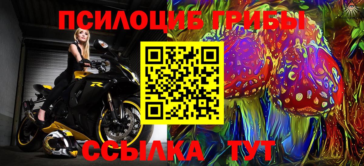 Псилоцибиновые грибы Cubensis Дятьково